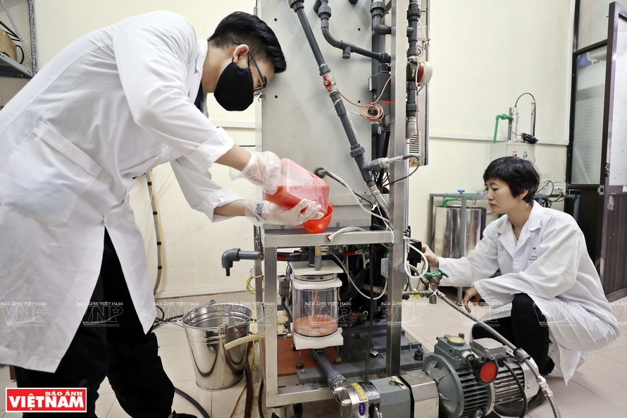 Cà chua và các loại quả khác được ép thành nước, sau đó cho vào máy để làm cô đặc