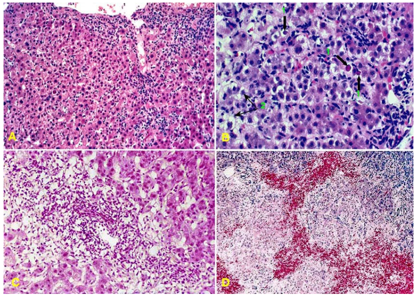 image 20210913150030 4