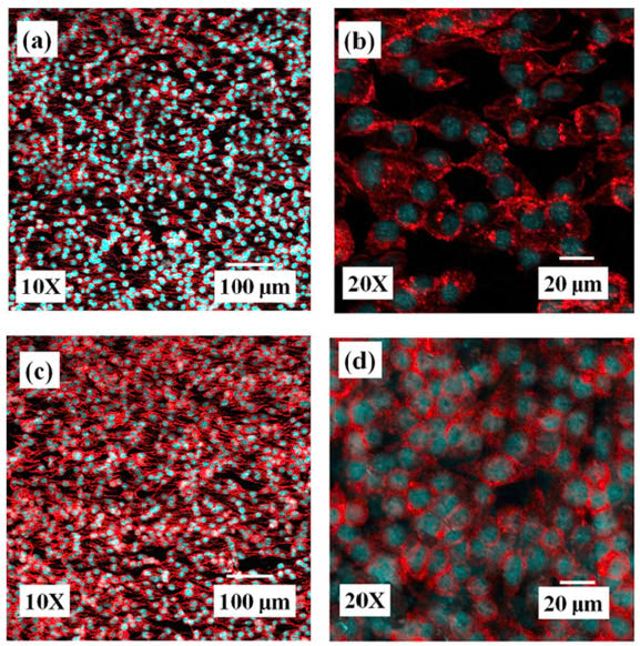 z6507680466579 c28623725f635ee8369685a1478a8b60